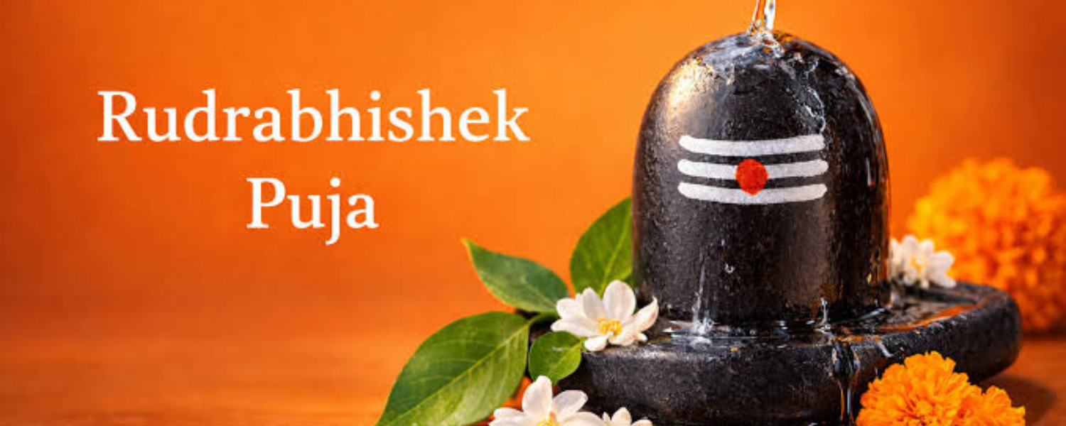 Rudrabhishek puja offerings on a Shivling
